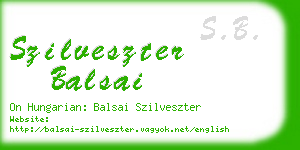 szilveszter balsai business card